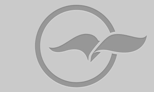 ഹര്‍ത്താലിന്‍റെ പേരിലെ ഭരണകൂട വേട്ട അവസാനിപ്പിക്കണം –ജമാഅത്തെ ഇസ്‌ലാമി 