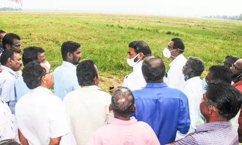 Summer rains 21.58 crore crop damage in Kottayam district