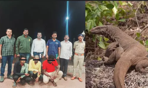 ഉടുമ്പിനെ ലൈംഗിക വേഴ്ചക്കിരയാക്കിയ നാലുപേർ അറസ്റ്റിൽ