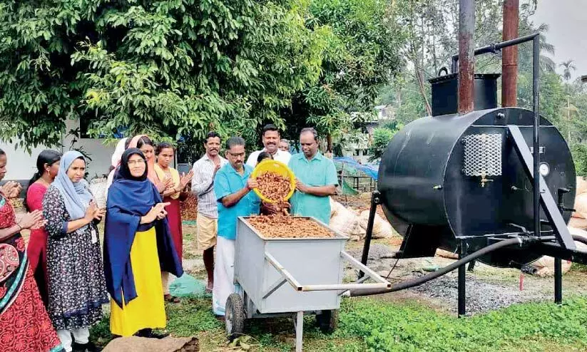 മഞ്ഞൾ കൃഷിയിൽ തിളങ്ങി ജുമൈല ബാനു
