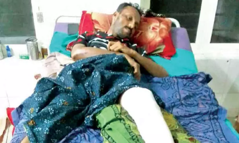 കാട്ടുപന്നി ഓട്ടോയിലിടിച്ച്യുവാവിന് പരിക്ക് കാട്ടുപന്നി ഓട്ടോയിലിടിച്ച്യുവാവിന് പരിക്ക്