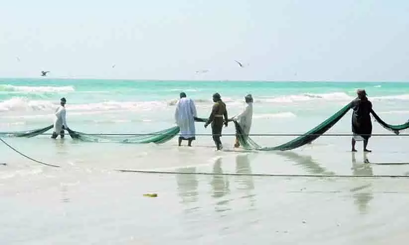 മത്സ്യത്തൊഴിലാളികൾക്ക് നൂതന പദ്ധതിയുമായി മന്ത്രാലയം മത്സ്യത്തൊഴിലാളികൾക്ക് നൂതന പദ്ധതിയുമായി മന്ത്രാലയം