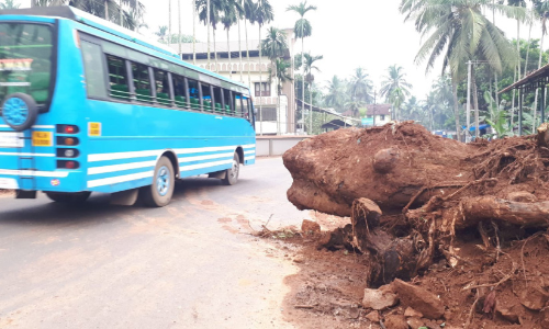 സംസ്ഥാന പാത നവീകരണം; ഭീഷണിയായി റോഡരികിൽ മരത്തടികൾ സംസ്ഥാന പാത നവീകരണം; ഭീഷണിയായി റോഡരികിൽ മരത്തടികൾ