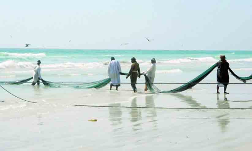 മത്സ്യത്തൊഴിലാളികൾക്ക് നൂതന പദ്ധതിയുമായി മന്ത്രാലയം