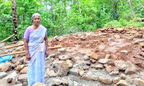 വീടിന്‍റെ തറ കാട്ടാനകൾ തകർത്തു; നിസ്സഹായതയോടെ വീട്ടമ്മ