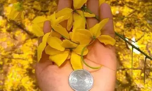 kaineettam kaineettam