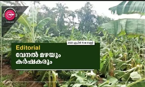 വേ​ന​ൽ മ​ഴ​യും ക​ർ​ഷ​ക​രും