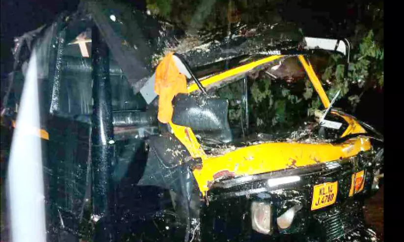 മ​രം വീ​ണ് ഓ​ടി​ക്കൊ​ണ്ടി​രു​ന്ന ഓ​ട്ടോ ത​ക​ർ​ന്നു