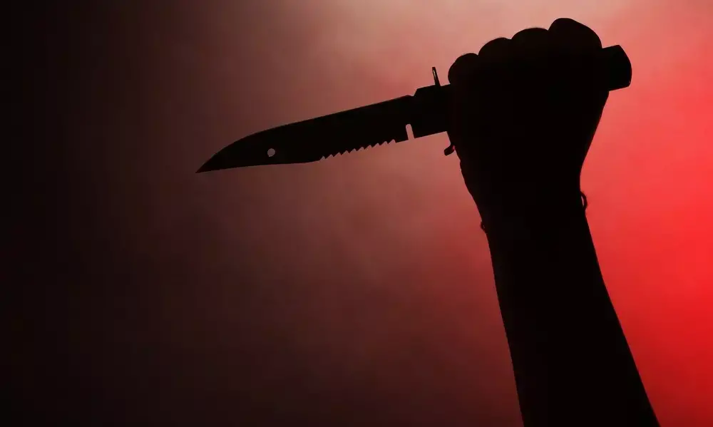 പ്രണയം നിരസിച്ച വിദ്യാർഥിനിയെ വെട്ടി; സഹപാഠി ആത്മഹത്യക്ക് ശ്രമിച്ചു