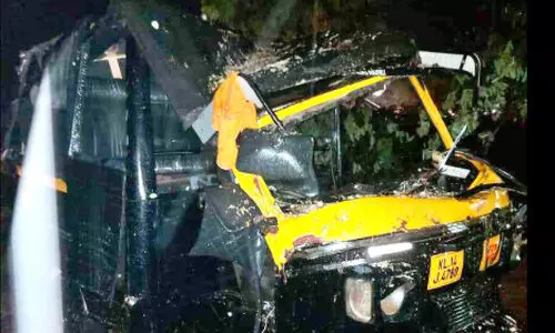 മ​രം വീ​ണ് ഓ​ടി​ക്കൊ​ണ്ടി​രു​ന്ന ഓ​ട്ടോ ത​ക​ർ​ന്നു