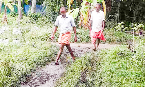 കുഴുവേലി പട്ടികജാതി കോളനിയിൽ ഇല്ലായ്മകളുടെ സമൃദ്ധി