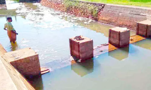 ചെരണ്ടത്തൂർ ചിറയിൽ നെൽകൃഷി വെള്ളപ്പൊക്ക ഭീഷണിയിൽ ചെരണ്ടത്തൂർ ചിറയിൽ നെൽകൃഷി വെള്ളപ്പൊക്ക ഭീഷണിയിൽ