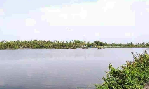 നെൽകൃഷി അട്ടിമറിക്കാനുള്ള ഫീഷറീസ്  ഉത്തരവിനെതിരെ പ്രക്ഷോഭം