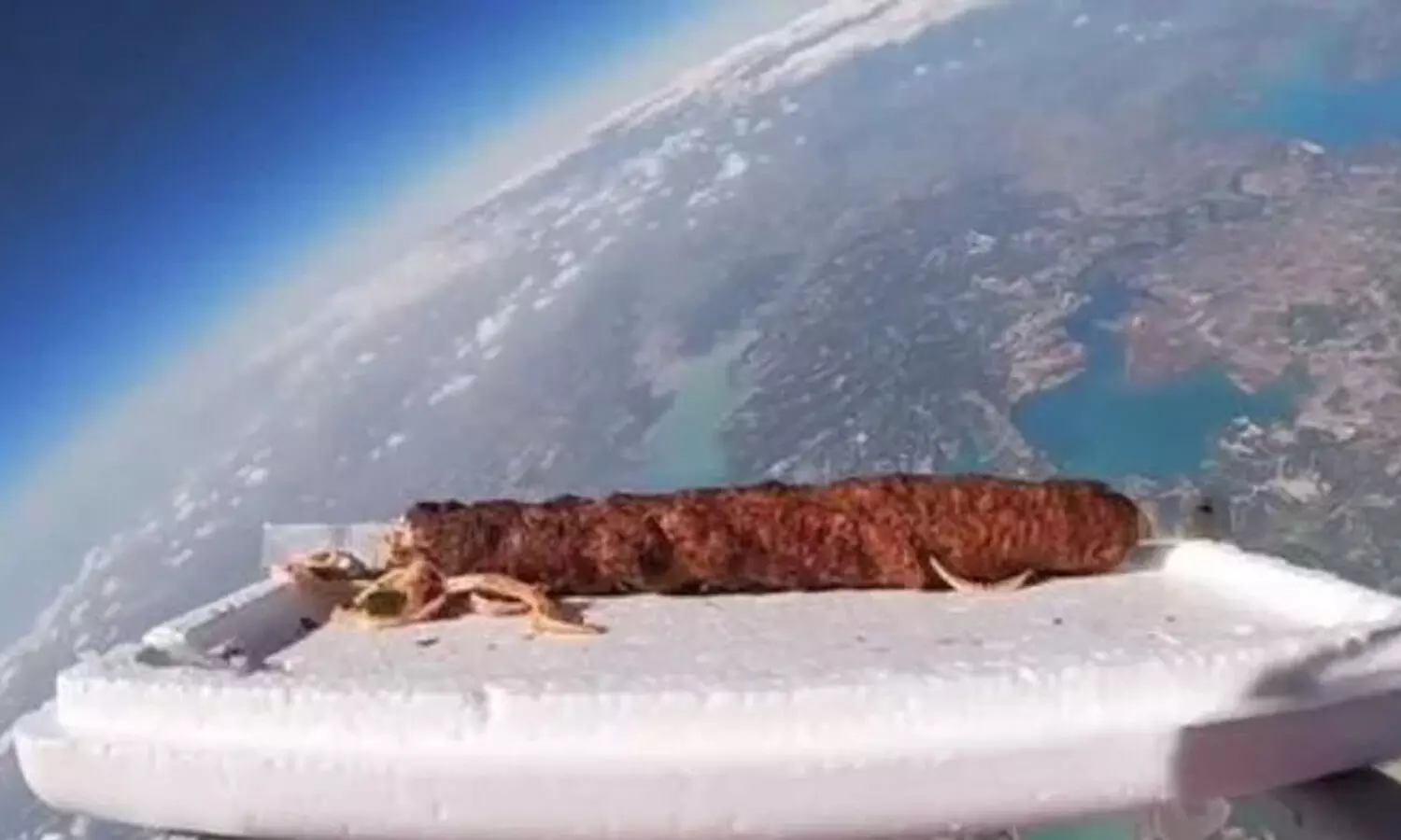 കബാബിനെ ബഹിരാകാശത്തേക്കയച്ച് തുർക്കിഷ് റെസ്റ്റോറന്റ്; ഇതാണ് കാരണം...! - വിഡിയോ