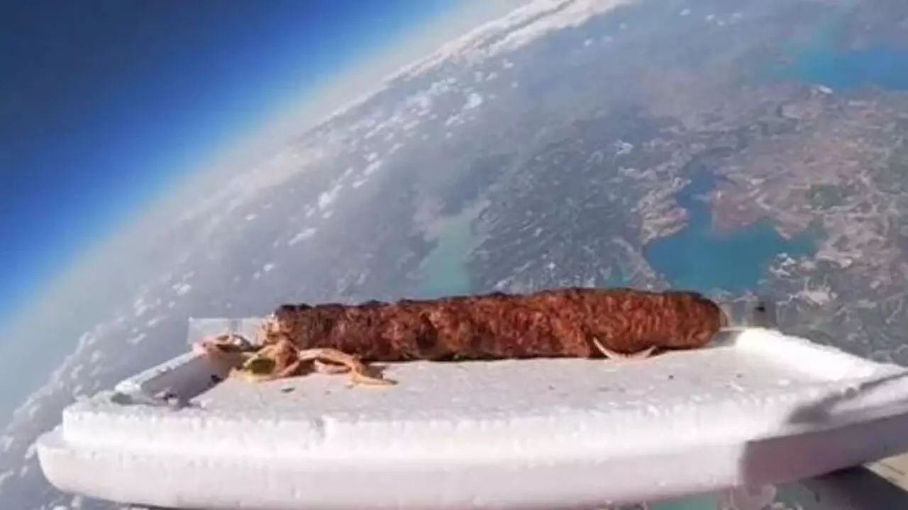 കബാബിനെ ബഹിരാകാശത്തേക്കയച്ച് തുർക്കിഷ് റെസ്റ്റോറന്റ്; ഇതാണ് കാരണം...! - വിഡിയോ