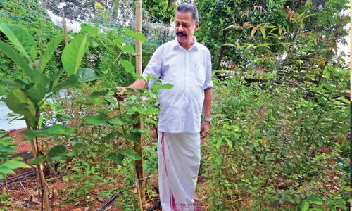 mv govindan miyawaki