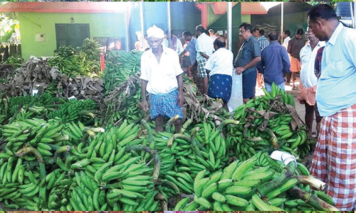 കർഷകർക്ക് ആശ്വാസമായി ഏറം വിപണി