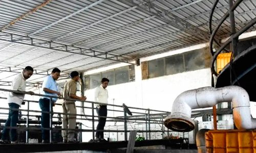 Fish Processing Factory