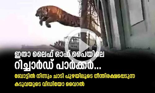 ഇതാ ലൈഫ് ഓഫ് പൈയിലെ റിച്ചാർഡ് പാർക്കർ, ബോട്ടിൽ നിന്നും പുഴയിലേക്ക് ചാടുന്ന കടുവ