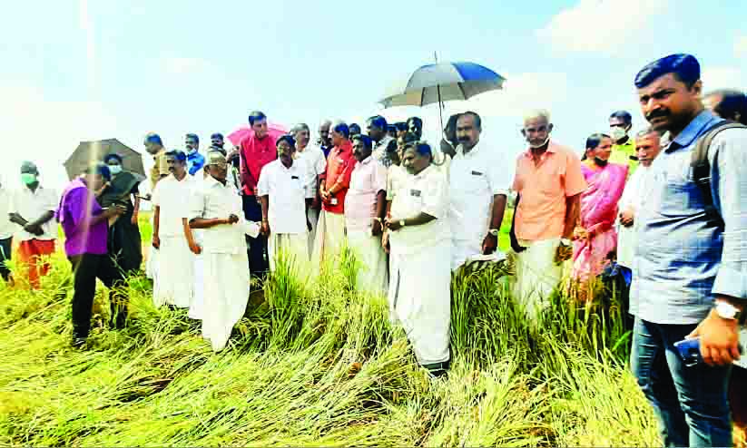 gr anil kuttanad gr anil kuttanad