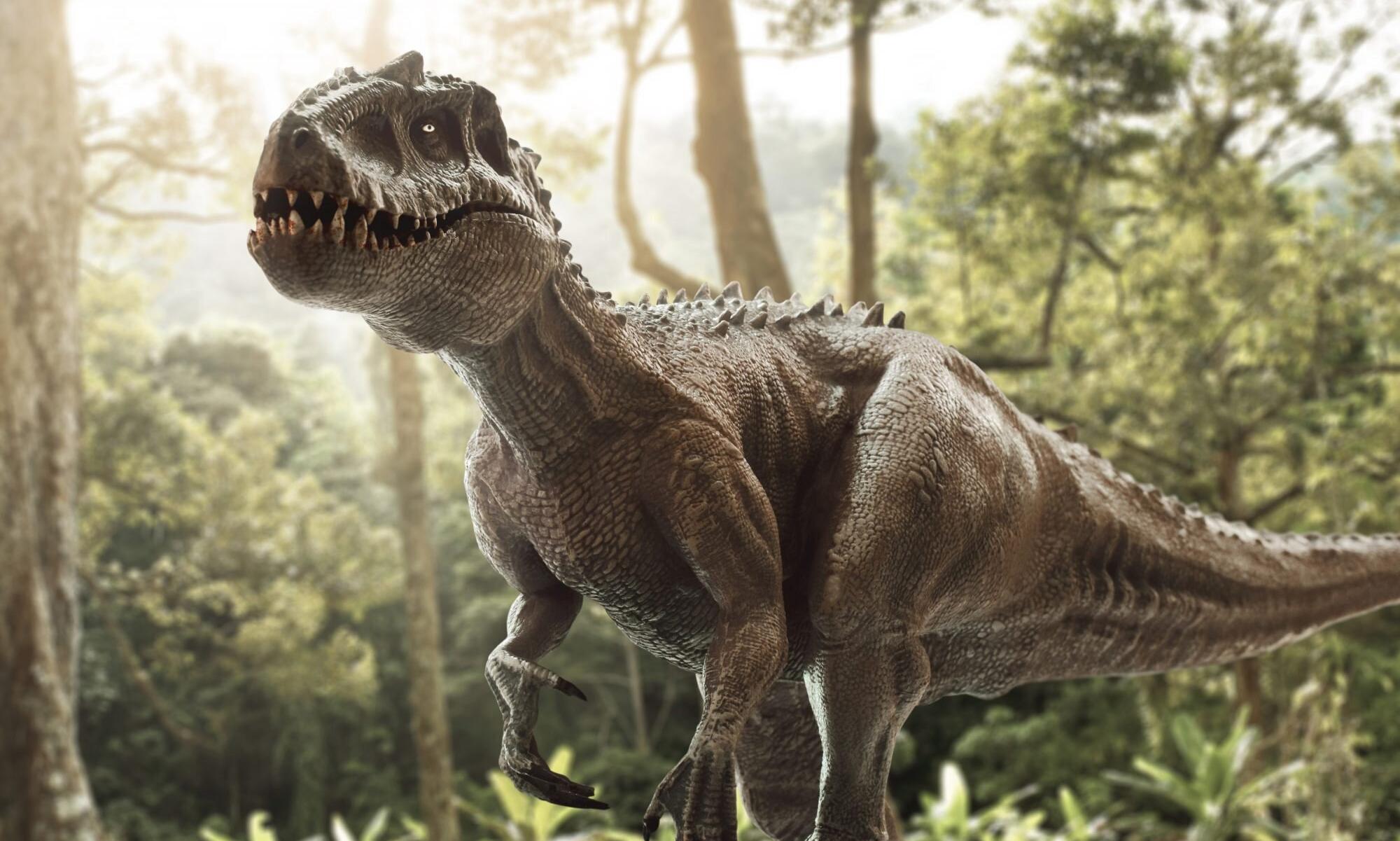 Dinosaur Dinosaur