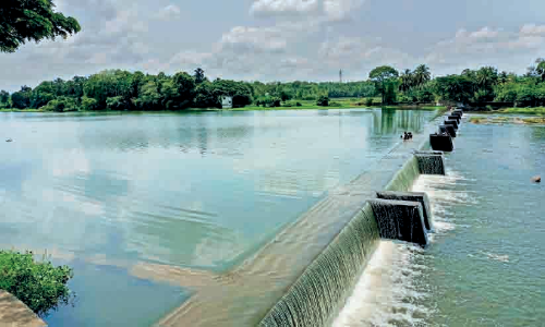 njavalinkadavu thadayana