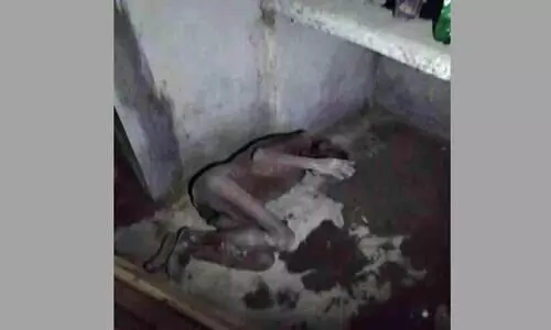 പരിചരിക്കാൻ ആരുമില്ല; വയോധികന്‍റെ അവസ്ഥ ദയനീയം