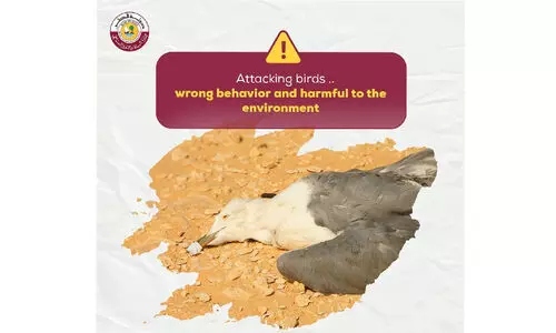 അ​രു​ത്, ഈ ​ക്രൂ​ര​ത