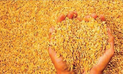 കർഷകൻ ജീവനൊടുക്കിയിട്ടും കർഷകർക്ക്​ കൈത്താങ്ങാകാതെ കൃഷിവകുപ്പ്