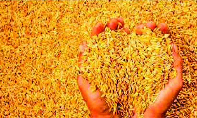 കർഷകൻ ജീവനൊടുക്കിയിട്ടും കർഷകർക്ക്​ കൈത്താങ്ങാകാതെ കൃഷിവകുപ്പ്