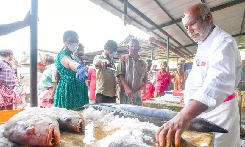 ഫോർമാലിൻ ചേർത്ത 92 കിലോ മത്സ്യം പിടിച്ചെടുത്തു