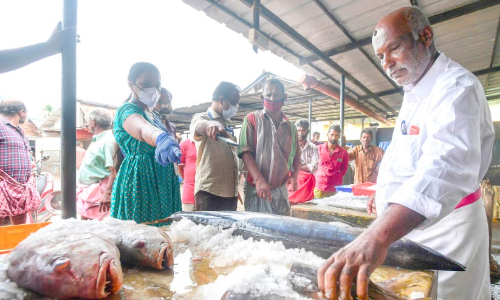 ഫോർമാലിൻ ചേർത്ത 92 കിലോ മത്സ്യം പിടിച്ചെടുത്തു