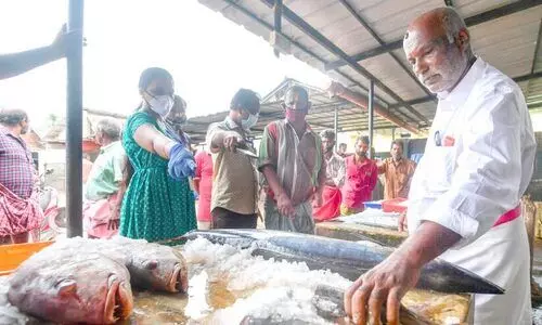 ഫോർമാലിൻ ചേർത്ത 92 കിലോ മത്സ്യം പിടിച്ചെടുത്തു
