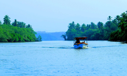 കയാക്കിങ്ങിനൊരുങ്ങി കാട്ടാമ്പള്ളി; പരിശീലന കേന്ദ്രം ഉടൻ തുറക്കും
