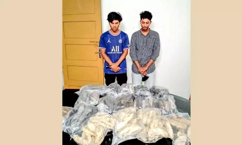 Two Lakshadweep nationals arrested with sea cucumber