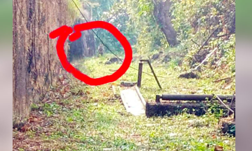 കടുവ സാന്നിധ്യം; ആശങ്കയോടെ പുല്ലുമല പ്രദേശവാസികൾ കടുവ സാന്നിധ്യം; ആശങ്കയോടെ പുല്ലുമല പ്രദേശവാസികൾ