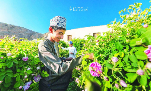 പൂക്കൾ...പനിനീർ പൂക്കൾ...