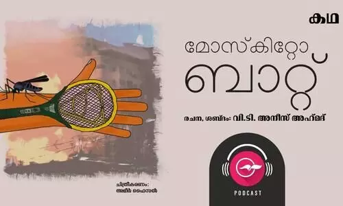 മോസ്​കിറ്റോ ബാറ്റ്​