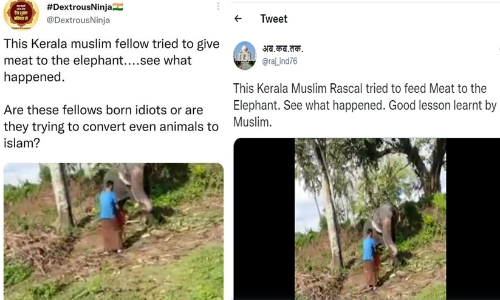 കേരളത്തിൽ ആന ജിഹാദ്; മലപ്പുറത്തെ വിഡിയോ പങ്കുവെച്ച് വ്യാപക വിദ്വേഷ പ്രചാരണം