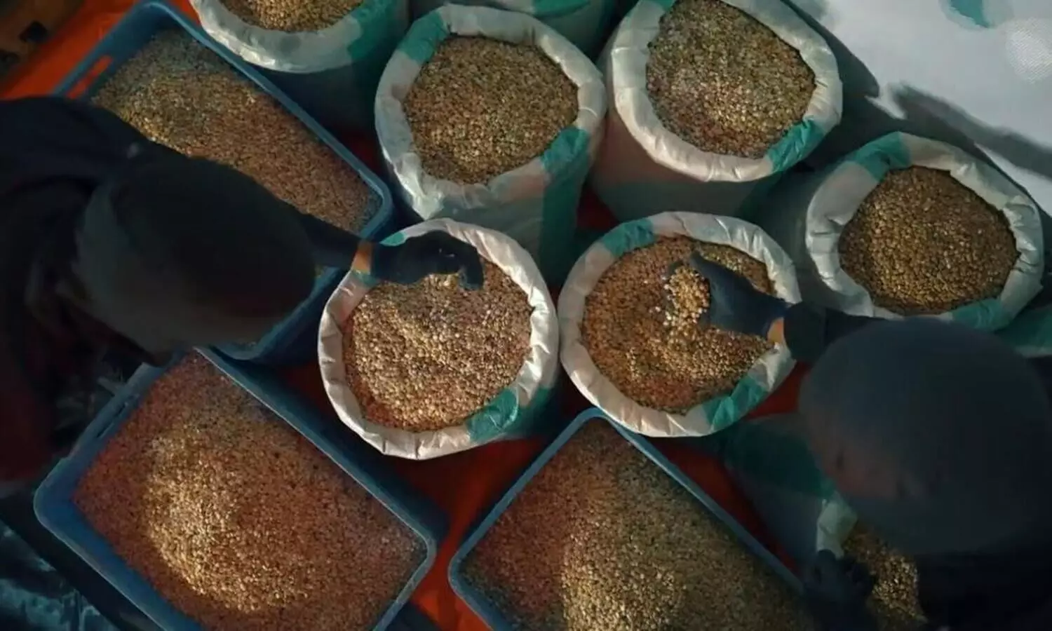 ദമ്മാം തുറമുഖത്ത് നിന്നും വൻ മയക്ക് മരുന്ന് പിടിച്ചെടുത്തു