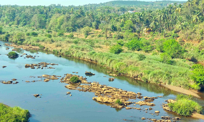 മാലിന്യക്കൂമ്പാരമായി ഇരിക്കൂർ പുഴ മാലിന്യക്കൂമ്പാരമായി ഇരിക്കൂർ പുഴ
