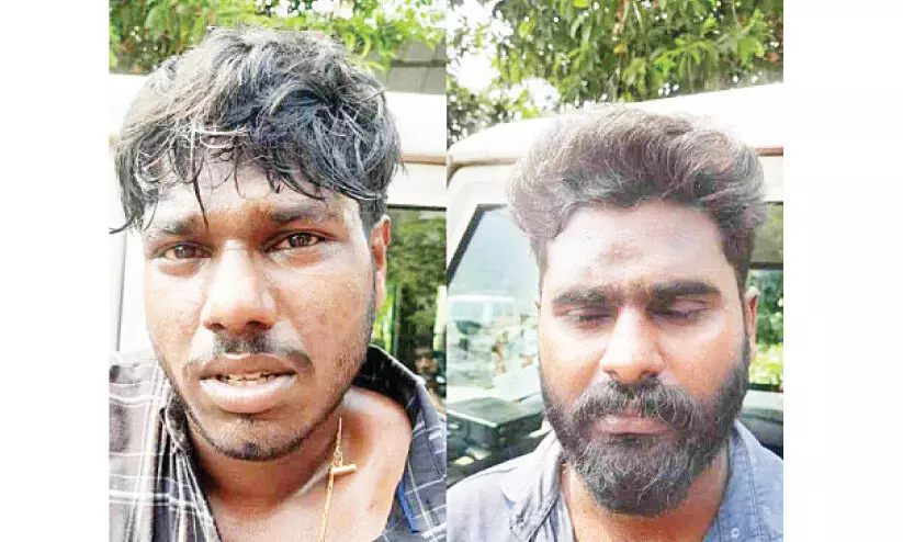 ഹഷീഷ് ഓയിലുമായി രണ്ടു യുവാക്കൾ പിടിയിൽ