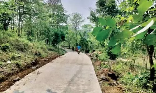 ആനമറി-പുഞ്ചക്കൊല്ലി കോൺക്രീറ്റ് റോഡ്: ഉദ്ഘാടനത്തിൽ രാഷ്ട്രീയ പോര് ആനമറി-പുഞ്ചക്കൊല്ലി കോൺക്രീറ്റ് റോഡ്: ഉദ്ഘാടനത്തിൽ രാഷ്ട്രീയ പോര്