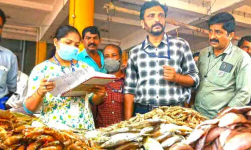 മായം കണ്ടെത്താൻ മീൻ പരിശോധന