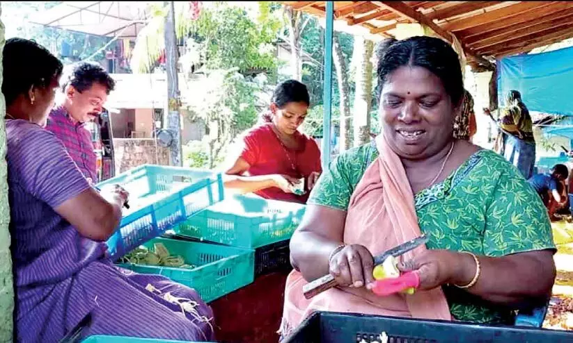 The golden age of jackfruit