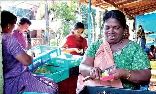 The golden age of jackfruit