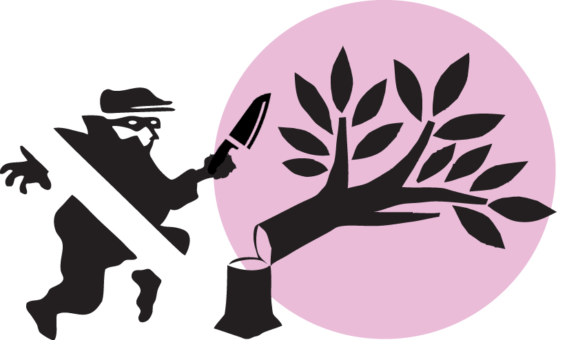 sandalwood theft sandalwood theft