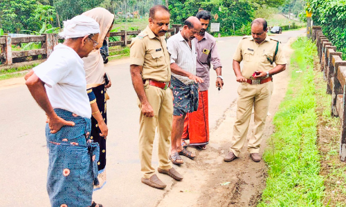 തലയാട് പടിക്കൽ വയലിൽ കടുവയെ കണ്ടതായി യുവാവ് തലയാട് പടിക്കൽ വയലിൽ കടുവയെ കണ്ടതായി യുവാവ്