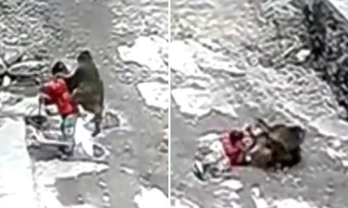 കൊച്ചുകുട്ടിയെ തട്ടിക്കൊണ്ടുപോകാൻ ശ്രമവുമായി കാട്ടുകുരങ്ങ്- വീഡിയോ