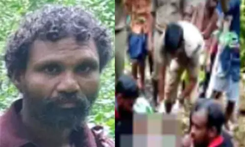 തേനെടുക്കുന്നതിനിടെ യുവാവ് മരത്തിൽനിന്ന് വീണുമരിച്ചു; ഓടിയെത്തിയ സ്ത്രീയുടെ കൈയ്യിൽനിന്ന് വീണ് പിഞ്ചുകുഞ്ഞും മരിച്ചു